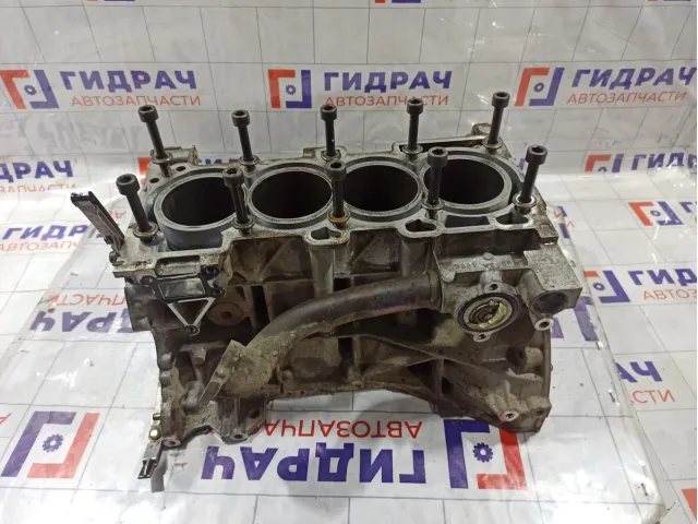 Блок двигателя Nissan X-Trail (T30) 11000-8H751