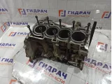 Блок двигателя Nissan X-Trail (T30) 11000-8H751