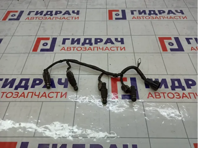 Форсунка инжекторная комплект Nissan X-Trail (T30) 166002Y916