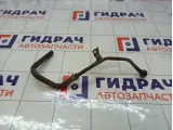 Трубка масляная акпп Nissan X-Trail (T30) 216238H305
