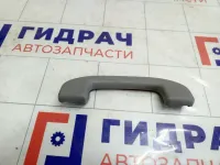 Ручка потолочная внутренняя передняя Nissan X-Trail 73940EA002