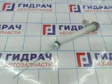 Горловина бачка омывателя Nissan X-Trail (T31) 28915-JG000