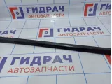Накладка стекла переднего правого наружная Nissan X-Trail (T31) 80820-JG000