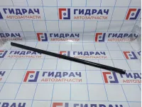 Накладка стекла заднего левого наружная Nissan X-Trail (T31) 82821-JG000