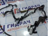 Проводка двери передней левой Nissan X-Trail (T31) 24125-3UY0A