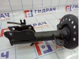 Амортизатор передний левый Nissan X-Trail (T31) E4303-1DA1A