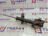 Амортизатор передний левый Nissan X-Trail (T31) E4303-1DA1A