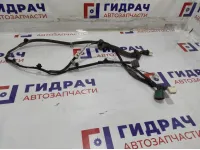 Проводка двери задней правой Nissan X-Trail (T31) 24126-JG00A.