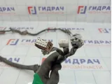 Проводка двери багажника Nissan X-Trail (T31) 24052-JG01A.