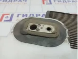 Испаритель кондиционера Nissan X-Trail (T31) 27281-EN000.