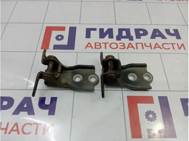 Петли двери передней правой Opel Antara (С105)