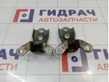 Петли двери передней правой Opel Antara (С105)