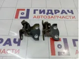 Петли двери задней левой Opel Antara (С105)