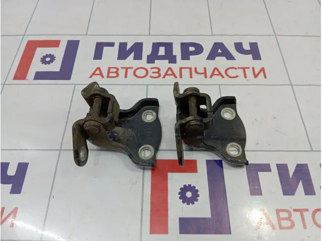 Петли двери задней правой Opel Antara (С105)