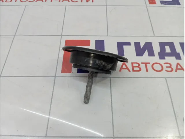 Болт крепления запасного колеса Opel Antara (С105) 96819410