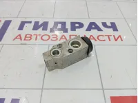 Клапан кондиционера Opel Antara (С105) 4803982