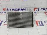 Радиатор отопителя Opel Antara (С105) 96629611