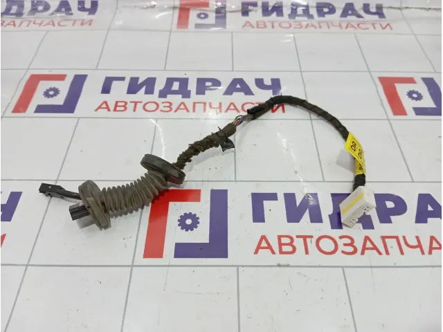 Проводка двери багажника Opel Antara (С105) F0615949