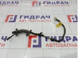 Проводка двери багажника Opel Antara (С105) F0615949