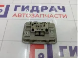 Плафон салонный Opel Antara (С105) 96673784