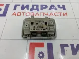 Плафон салонный Opel Antara (С105) 96673784