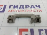 Ручка внутренняя потолочная задняя левая Opel Antara (С105)