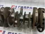 Коленвал Opel Antara (С105) 12601938