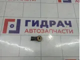 Датчик детонации Opel Antara (С105) 12566845