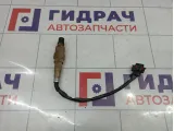 Датчик кислородный Opel Antara (С105) 4807856