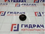 Механизм изменения фаз ГРМ впускной Opel Antara (С105) 12626160