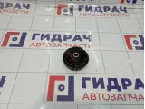 Механизм изменения фаз ГРМ выпускной Opel Antara (С105) 12672485