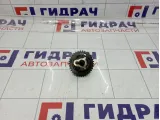 Шестерня цепи ГРМ Opel Antara (С105) 12612839