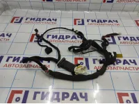Проводка (коса) двери передней левой Opel Antara (C105) 96628166.