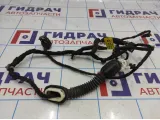 Проводка (коса) двери задней левой Opel Antara (C105) 96628166.