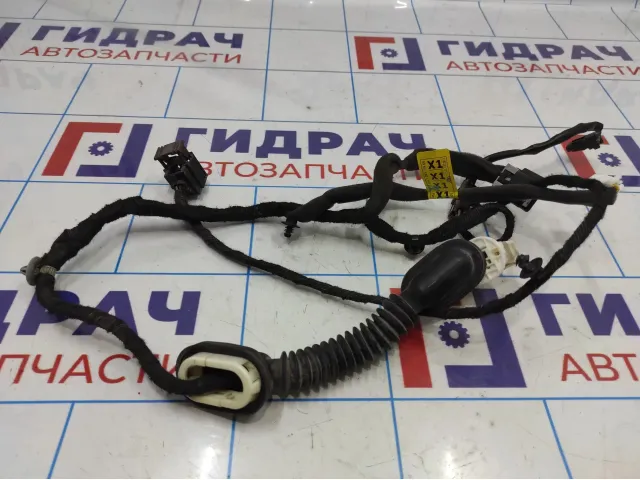 Проводка (коса) двери задней левой Opel Antara (C105) 96628166.