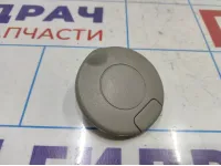 Заглушка потолочная передняя Opel Antara (C105) .