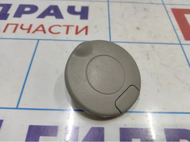 Заглушка потолочная передняя Opel Antara (C105) .