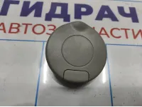 Заглушка потолочная задняя левая Opel Antara (C105) .