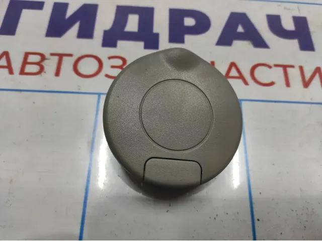 Заглушка потолочная задняя левая Opel Antara (C105) .