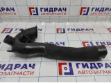 Патрубок воздушного фильтра Opel Antara (C105) 96829526.