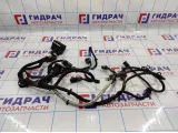 Проводка (коса) подкапотная Opel Antara (C105) 4813457.
