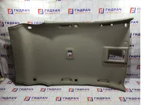 Обшивка потолка Opel Antara (C105) 4810068.