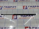 Амортизатор двери багажника Opel Antara (C105) 20784692.