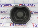 Ниша запасного колеса Opel Antara (C105) 96470977.