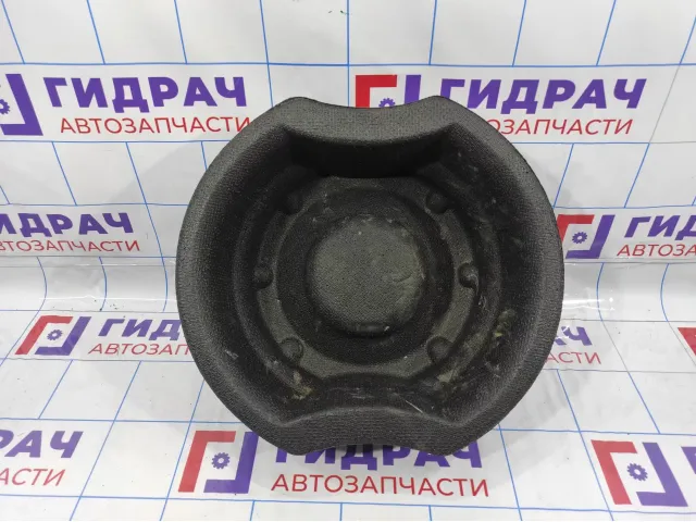 Ниша запасного колеса Opel Antara (C105) 96470977.