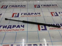 Амортизатор двери багажника Opel Antara (С145) 96984466.