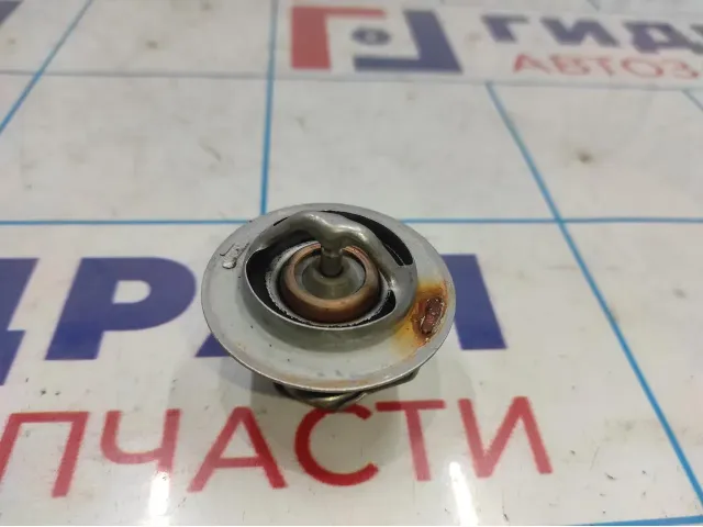 Термостат Opel Antara (С145) .