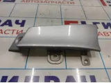 Планка под фонарь правая Opel Antara (С145) 96861009.