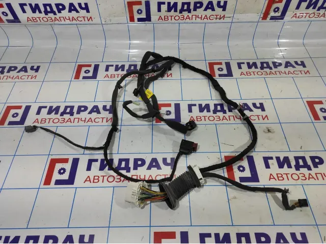 Проводка (коса) двери передней правой двери Opel Antara (С145) 95491035.