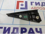 Накладка двери задней правой Opel Antara (С145) 96662468.